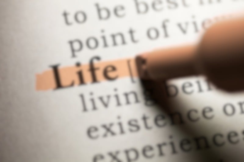 Das Wort Life in einem Wörterbuch markiert